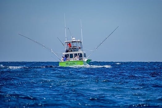 Boat photo for Quick Trips Lots Of Action!