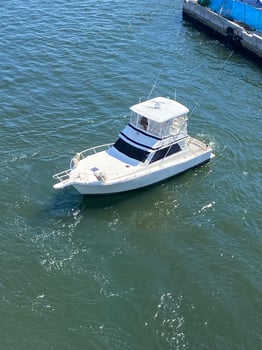 Boat photo for 4 Hour Offshore