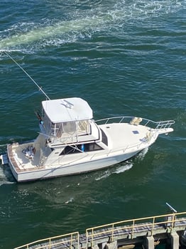 Boat photo for 4 Hour Offshore