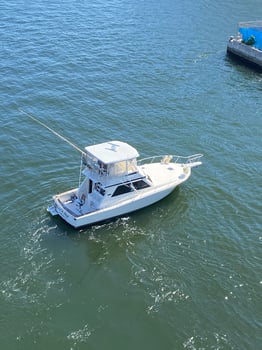 Boat photo for 4 Hour Offshore