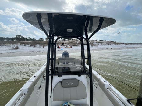 Boat photo for Saltwater 101