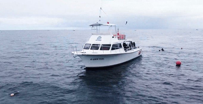 Boat photo for Lionfish Hunting Thriller!