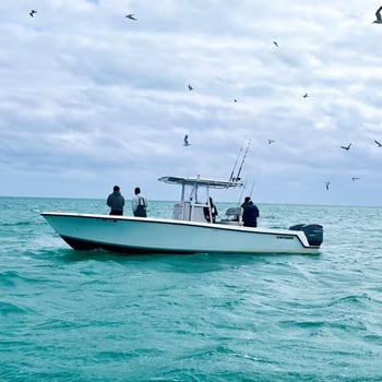 Boat photo for Reef, Wreck, Drift Fishing