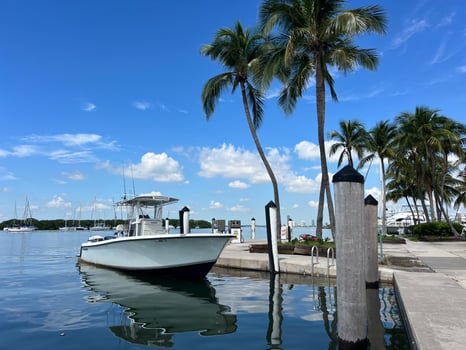 Boat photo for Reef, Wreck, Drift Fishing