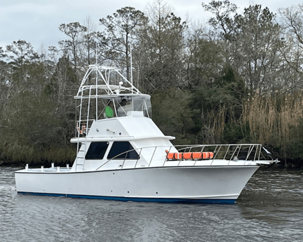 Boat photo for 5 Hour Destin Trip