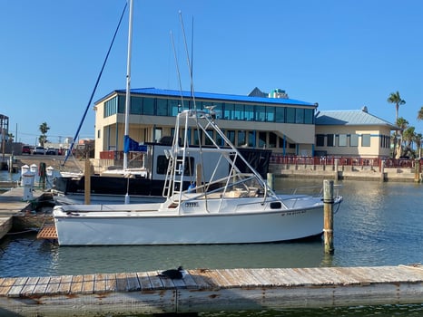 Boat photo for SPI Dolphin Watch