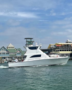 Boat photo for Amberjack