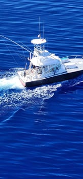 Boat photo for 12 Hour Trip W/ac