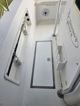 Boat photo for 3 Hour Adventure