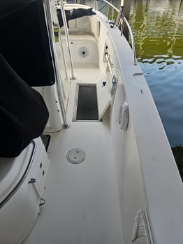 Boat photo for 3 Hour Adventure