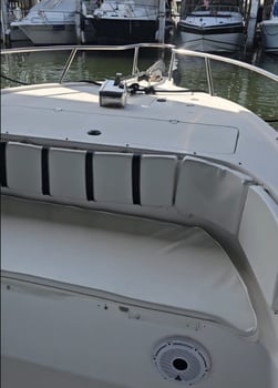 Boat photo for 4 Hour Charter