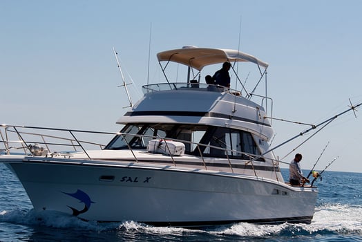 Boat photo for Extended Day - Blue Marlin