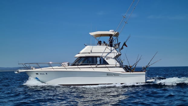 Boat photo for Extended Day - Blue Marlin