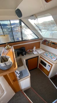 Boat photo for Extended Day - Blue Marlin