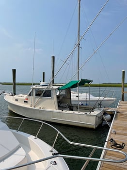 Boat photo for Half Day Spanish Mackerel