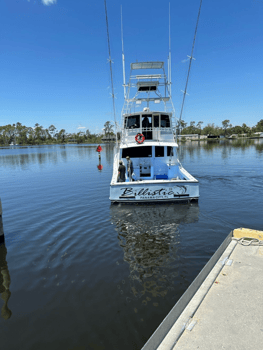 Boat photo for Luxury Sportfishing - Ballistic II