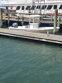 Boat photo for Shallow Water Flats Fishing