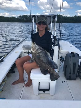 Boat photo for Charlotte Harbor Inshore Fishing