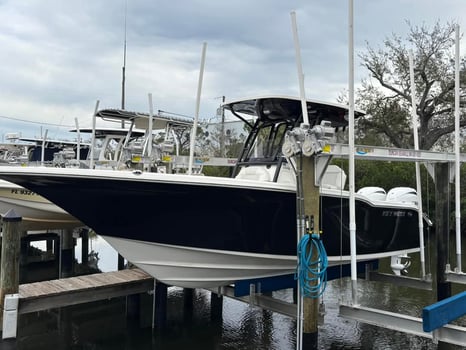 Boat photo for Private 4 Hour - Sarasota Bay