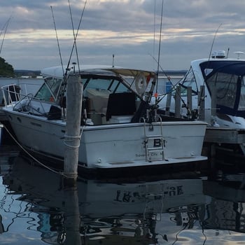 Boat photo for Grand Traverse Bay Salmon & Trout