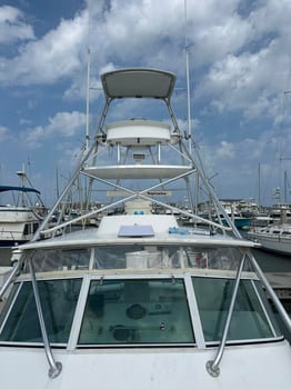 Boat photo for 12 Hour Ultimate Fishing Experience