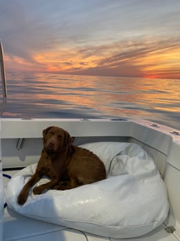 Boat photo for Hampton Bays Hour Inshore Trip