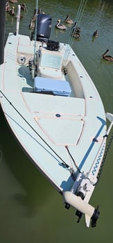 Boat photo for Night Fishing