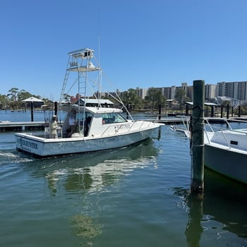 Boat photo for 4-5 Hour Trolling Trip
