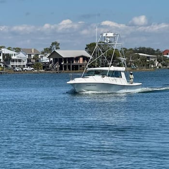 Boat photo for Trolling Or Bottom Fishing