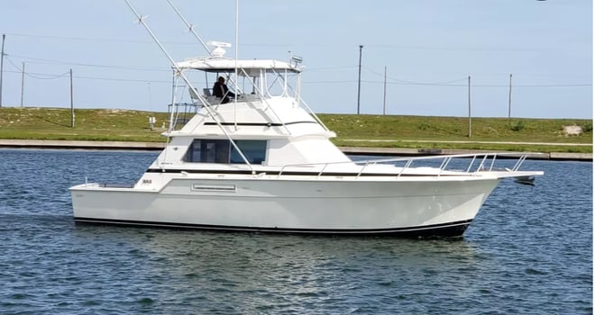 Boat photo for Red Snapper Offshore In Port A