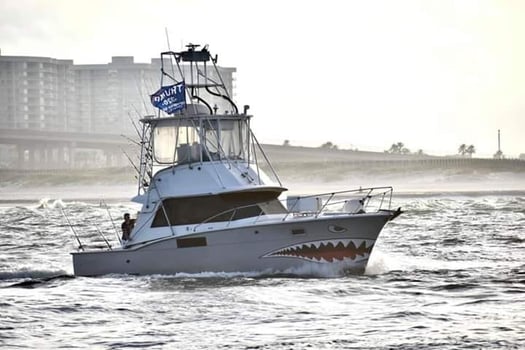 Boat photo for 6 Hour Snapper Trip
