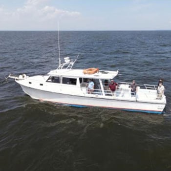 Boat photo for Chesapeake Half-Day Rockfish Trip