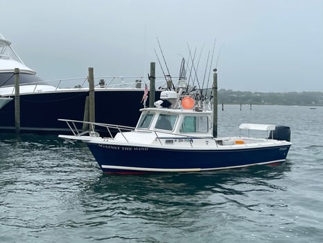 Boat photo for Evening/ Night Striped Bass
