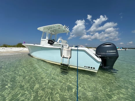 Boat photo for Sighting Dolphins Islands Cruise