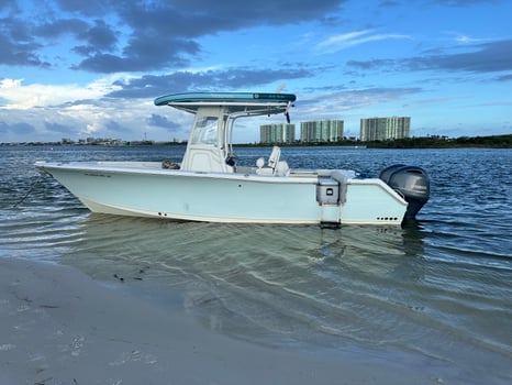 Boat photo for Sighting Dolphins Islands Cruise