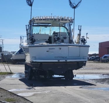 Boat photo for Big Lake Fishing Trips