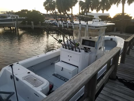 Boat photo for Nighttime Shark Encounter