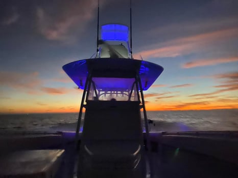 Boat photo for Nighttime Shark Encounter
