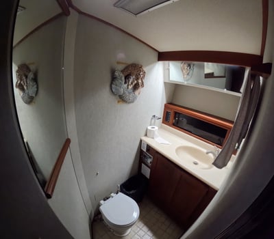 Boat photo for Big Fish Game A/C & Box Lunch