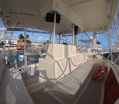 Boat photo for Big Fish Game A/C & Box Lunch