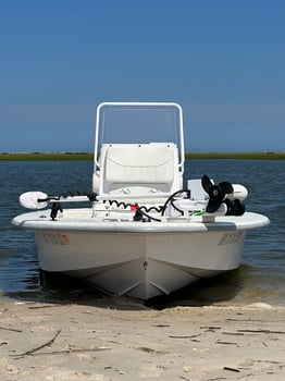 Boat photo for 4 Hr Wilmington Inshore/Nearshore