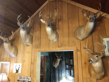 Lodge photo for Turkey Hunt & Lodging (4 Nights)