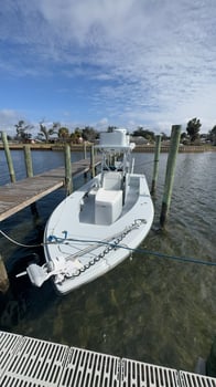 Boat photo for 4 Hour Inshore Fishing