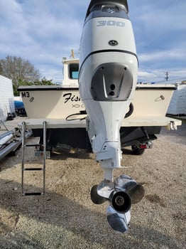Boat photo for Gag Grouper 20-50 Miles Offshore