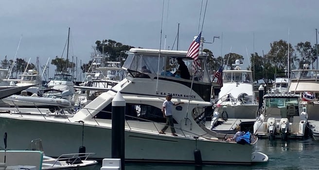 Boat photo for Sportfishing Or Sharking - 47'