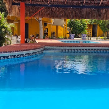 Lodge photo for Dove Hunting 3 Days / 4 Nights