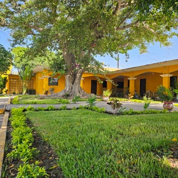 Lodge photo for Dove Hunting 3 Days / 4 Nights