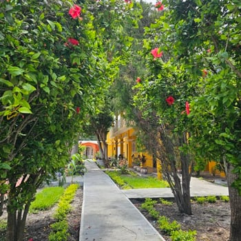 Lodge photo for Quail Hunting 3 Days 4 Nights