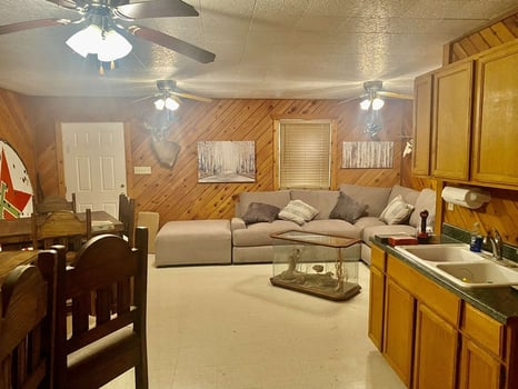 Lodge photo for Dove Hunt 🕊