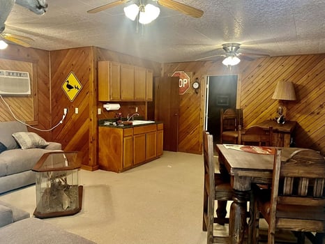 Lodge photo for Dove Hunt 🕊